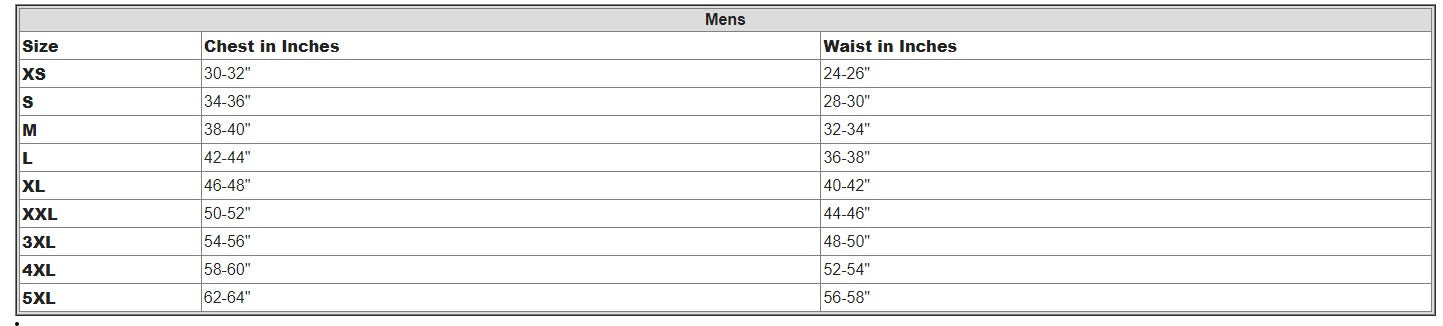 Disneyland Resort Spirit Jersey for Adults Neon Blue 1955 Icon