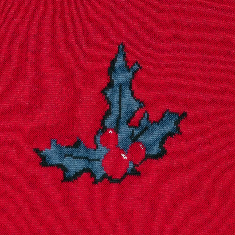 Disneyland Mickey Mouse & Friends Holiday Spirit Jersey Sweater for Adults