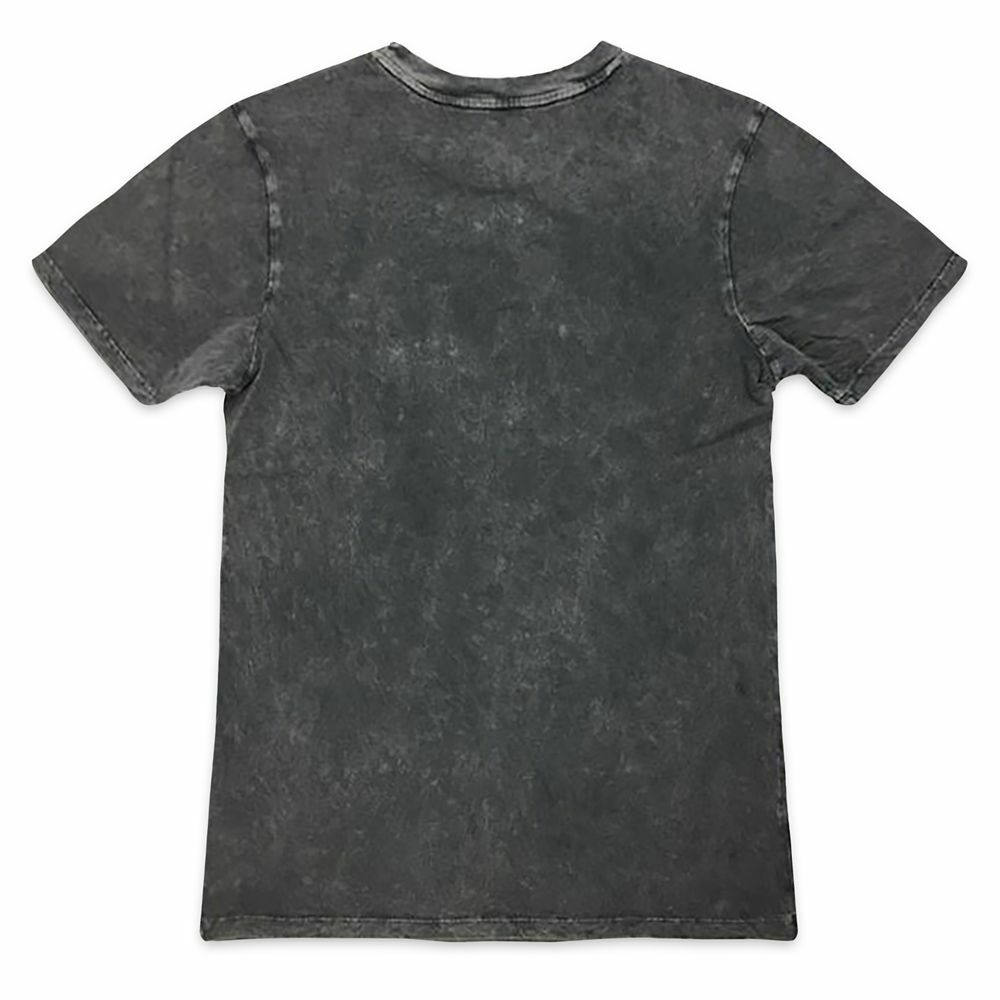 The Mandalorian Star Wars The Child T-Shirt for Adults Mens Size Medium